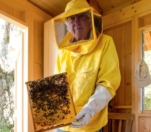 Bienen-Honig 11